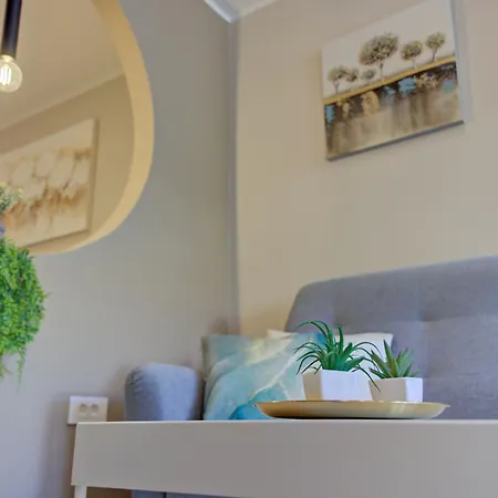 Delux Aron With Free Parking Apartament *